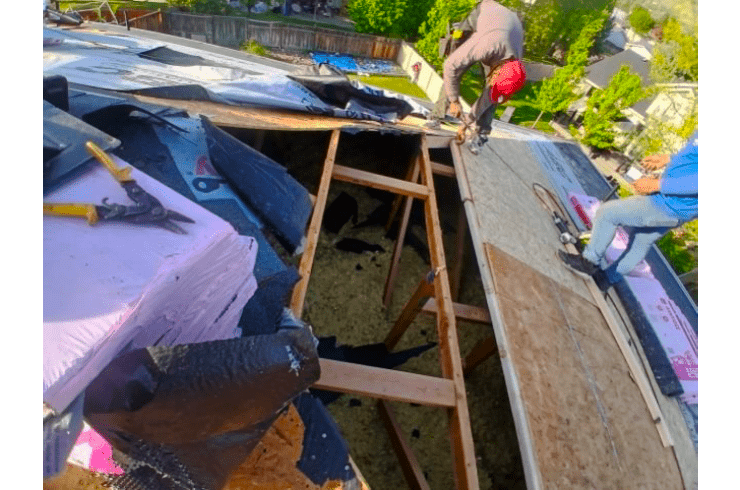 Ruiz Roofing Design
